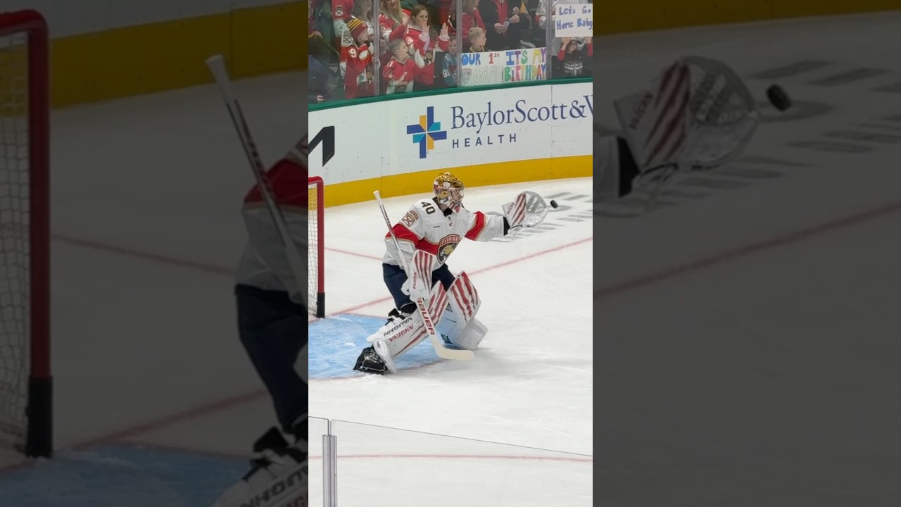 Backup mood. #goaliegearsnob #floridapanthers #vaughngoalie #daniiltarasov