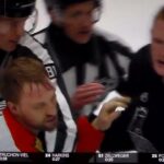 NHL Hockey fight - Jeffrey Viel(Ducks) vs. Samuel Helenius(Kings)
