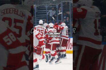 Mo Seider and Dylan Larkin connect on the overtime game-winner in Toronto