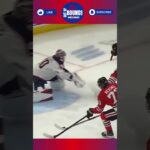 Elvis Merzļikins  Gets It Done    #nhl  #hockey #goalie