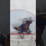 Magnus Hellberg filmar? (Djurgården Hockey mot Malmö Redhawks på Hovet i SHL i Sverige) (#Shorts)