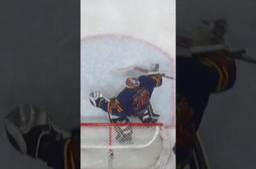 Magnus Hellberg filmar? (Djurgården Hockey mot Malmö Redhawks på Hovet i SHL i Sverige) (#Shorts)