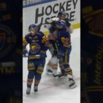 Arvid Costmar får klubba i ansiktet (Djurgården Hockey mot Växjö Lakers HC SHL i Sverige) (#Shorts)