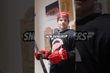 Which Red Wings players shoveled their snow after the Michigan snow storm?