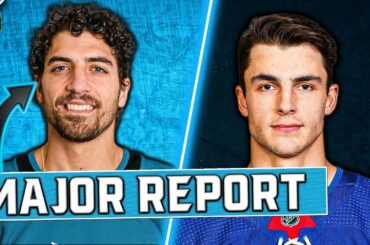 Insider reveals HUGE Sharks update… - This is CRAZY