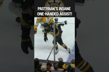 Pasta fights them ALL off 😤