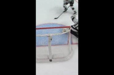 CHAOS IN THE CREASE!  #hockey #nhl #gkg #gokingsgo