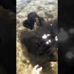 With My Bare Hands..