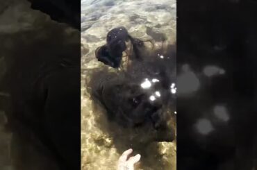 With My Bare Hands..