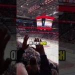 Ottawa Senators Games Are Underrated