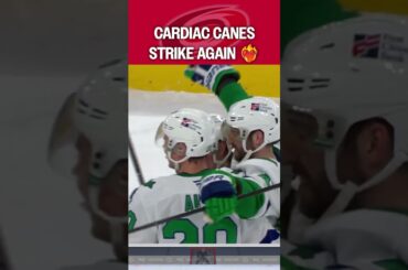 Cardiac Canes Doing Cardiac Things ❤️‍🔥😮‍💨