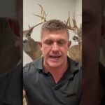 Fixed Blade vs. Expandable Broadheads #shorts