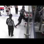 DAWSON MERCER STEPS UP 🥊 #NJDevils