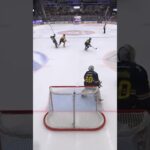 Mattias Thedenby får klubba i ansiktet (HV71 mot Luleå HF Husqvarna Garden Jönköping SHL) (#Shorts)