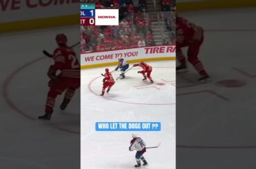 Dogg on the loose. ￼