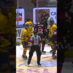 Joe Snively mot Lauri Pajuniemi (Djurgården Hockey mot Malmö Redhawks i SHL i Sverige) (#Shorts)