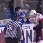 Hockeyfighters.cz  Robert Bortuzzo vs Francis Lessard.wmv