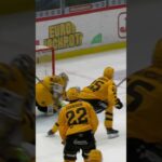 Snygg räddning av Strauss Mann (Skellefteå AIK mot Brynäs IF i Gävle i SHL i Sverige) (#Shorts)