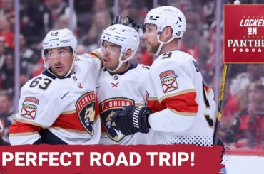 PERFECT ROAD TRIP: Marchand big in return, Bjornfot an unlikely hero and the Cats are streaking!