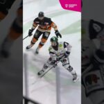 Welcome back, Kai Wissmann!