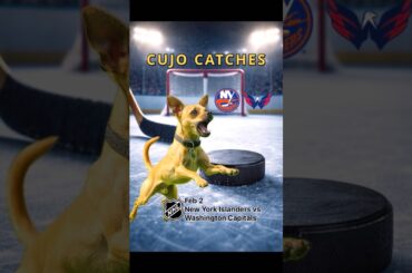 Cujo’s NHL Fetch | Islanders at Capitals 🏒 02-02-2026 | NHL Picks #CujoCatches