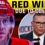 Are the Red Wings Headed for a Collapse