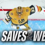 No Goalie Fights — Just Unreal Saves | NHL Week 15 Best Stops