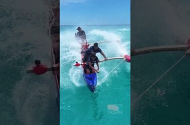 Biggest Swell in 3 Years hits Oahu South Shore - short