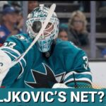 Alex Nedeljkovic STAKES Claim to Sharks Net as Macklin Celebrini Breaks "SLUMP"
