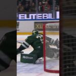 Brendan Shinnimin och Viktor Lodin slåss (Luleå HF mot Färjestad BK Löfbergs Arena i SHL) (#Shorts)