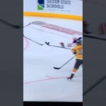 #49 Ivan Barbashev (4) Batted Goal.