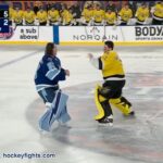 Jeremy Swayman vs Andrei Vasilevskiy Feb 1, 2026