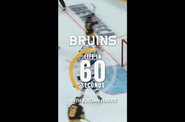 Jordan Harris is 100% a Cat Dad – Bruins Life in 60 Seconds