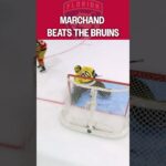 Yeah, he's a Panther now