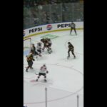 Cody Glass with a Short Goal vs. Vancouver Canucks