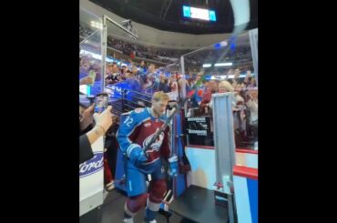 Welcome Back Captain Gabriel Landeskog 💥🏒🔥🥅 #nhl #emotional #hockey #sports