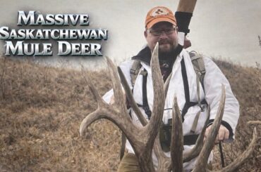 Hunting Huge Saskatchewan Mule Deer