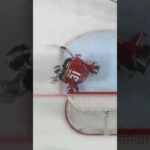 Mål eller inte av Ivar Stenberg? (Frölunda HC mot Luleå HF i Coop Norrbotten Arena i SHL) (#Shorts)