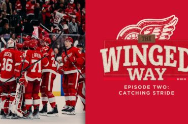 The Winged Way Episode 2: Catching Stride