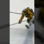 Luke Witkowski tacklar Alexander Ljungkrantz (Skellefteå AIK mot Färjestad BK i SHL) (#Shorts)