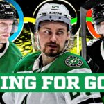 Which Dallas Star Will Perform The Best On The Olympic Stage? | DLLS Stars Podcast