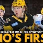 Who’s Next Up? Ranking the Penguins’ AHL Call-Up Order