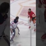 Nedeljkovic Joined An Exclusive NHL Club This Week 🥊