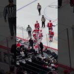 Brandon Duhaime and Ilya Lyubushkin finally drop the gloves. #ALLCAPS #TexasHockey