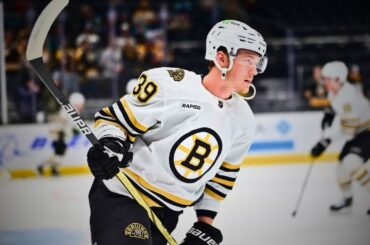 From Fourth Liner To NHL Star...