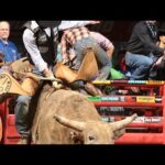 Ben Jones covers Tahonta's Magic for 86.50 points (PBR)