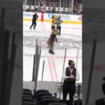 Arizona Coyotes mascot can't even skate