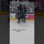 is this what a bird sees? #SeaKraken #hockey #NHL