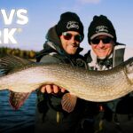 FLY VS JERK 17 - EPISODE 1