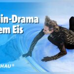 Drama im Eiskunstlauf: Ilia Malinin stürzt in der Kür | Olympia | Sportschau